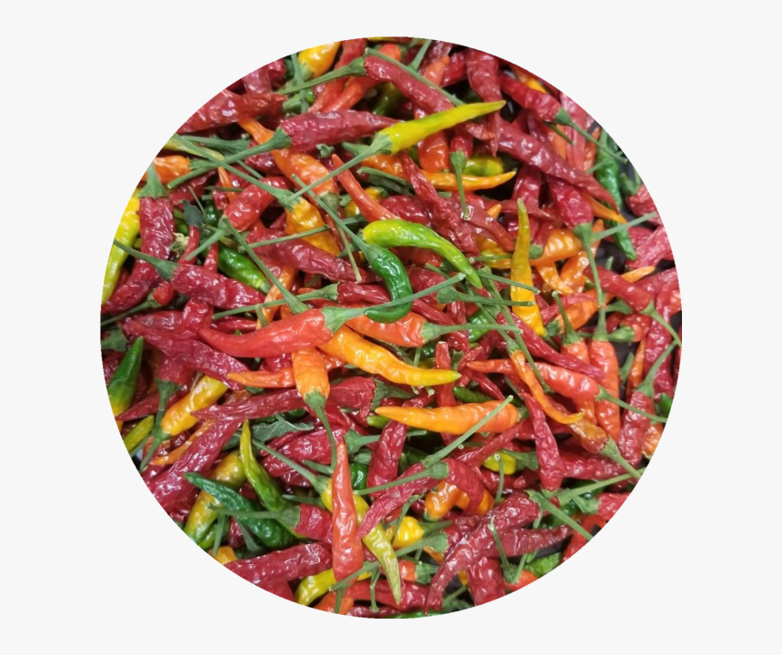 Bird's Eye Chili, HD Png Download