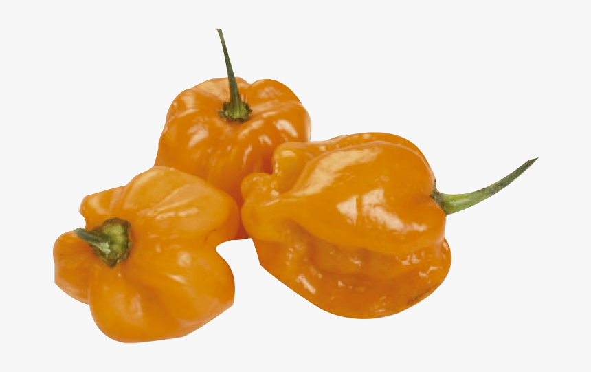 Habanero Chili, HD Png Download