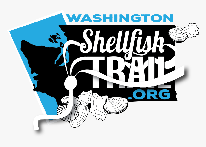 Graphic Design, HD Png Download