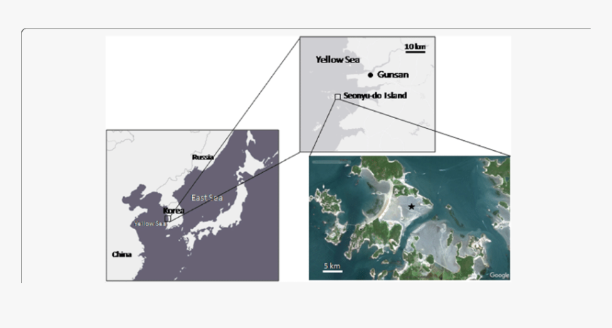 Japan, HD Png Download