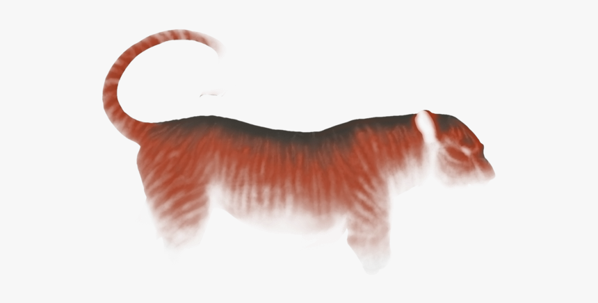 Bengal Tiger, HD Png Download