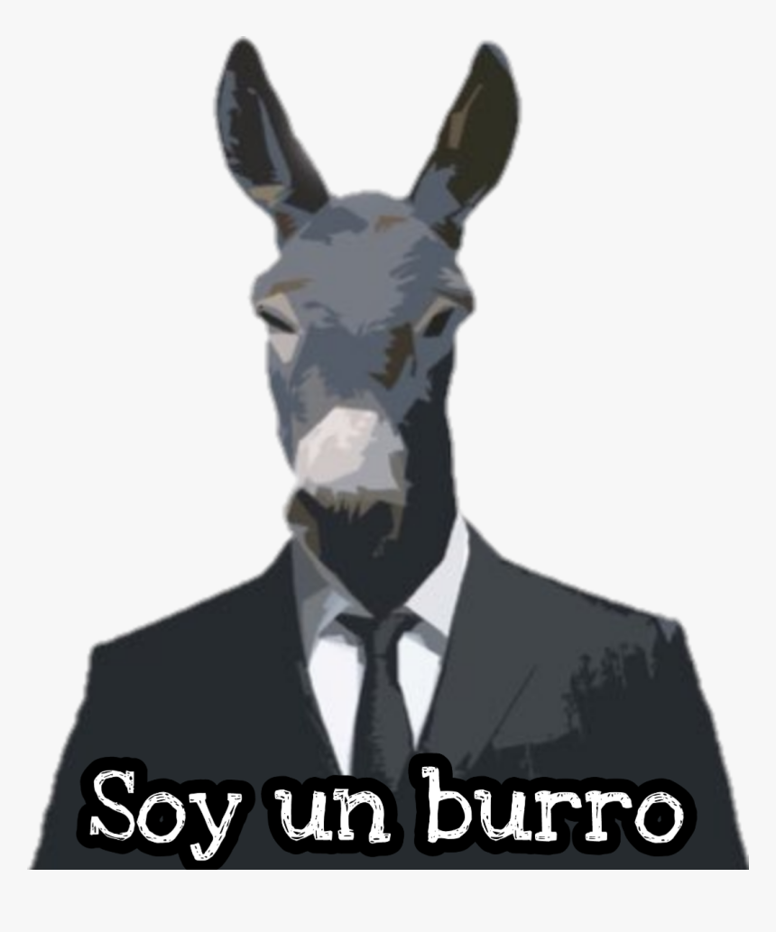 #burro - Burro, HD Png Download