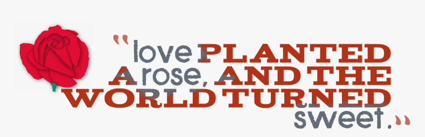 Romantic Quotes Png High-quality Image - Orange, Transparent Png