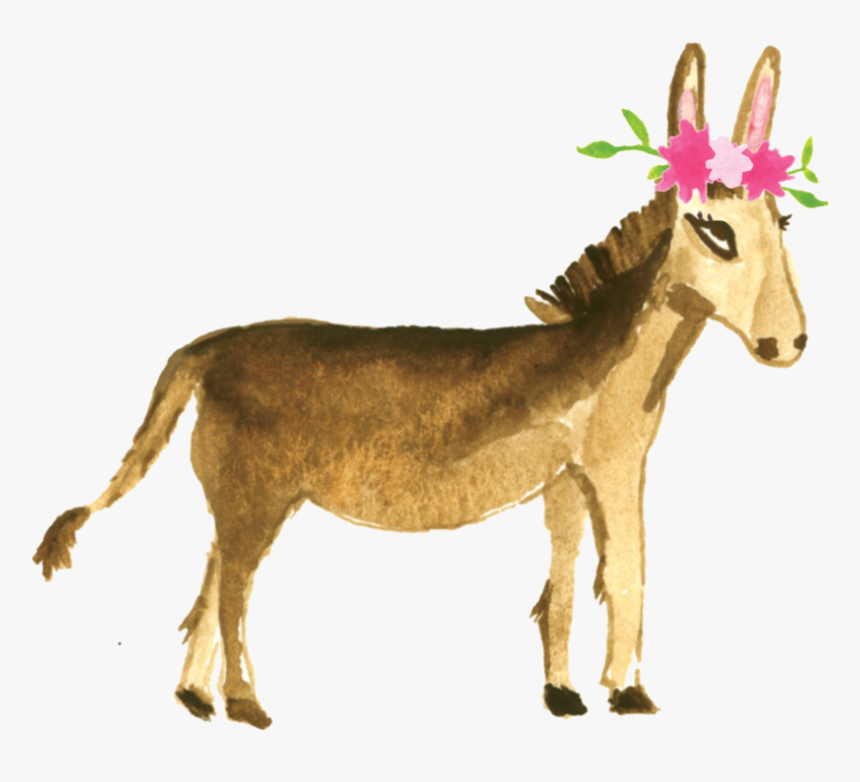 Burro - Pampas Deer Png, Transparent Png