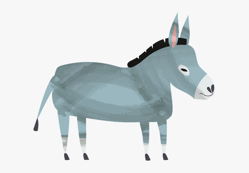 Burro, HD Png Download