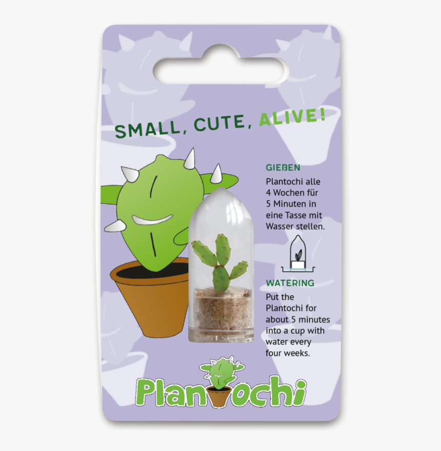 Flowerpot, HD Png Download