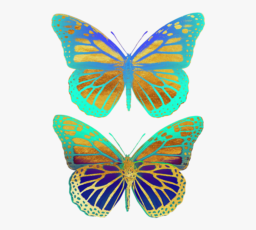 Monarch Butterfly, HD Png Download