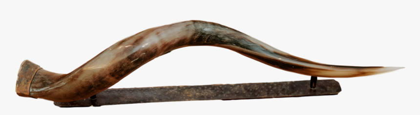 Plywood, HD Png Download