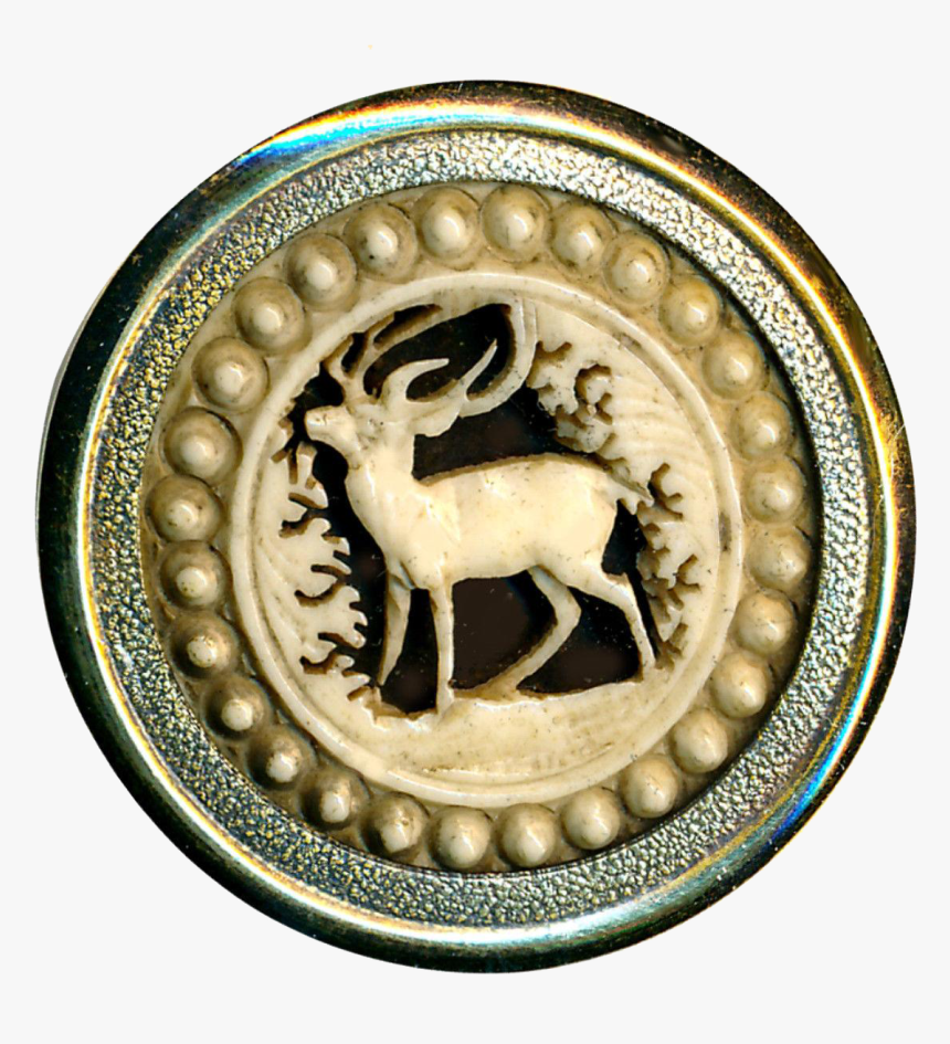 Elk, HD Png Download