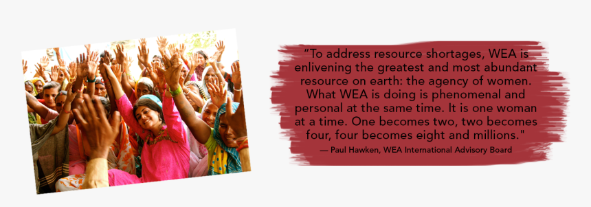 Holi, HD Png Download