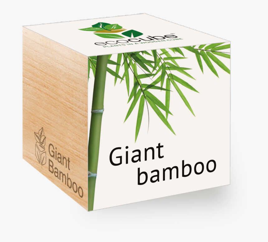 Bamboo Png, Transparent Png