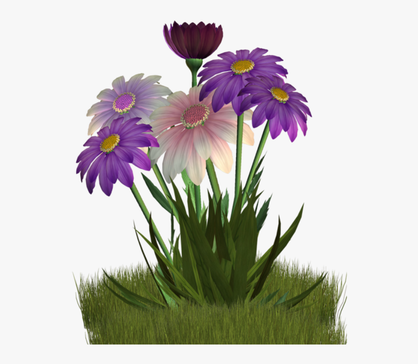 Daisies Clipart Spring Season - Flower, HD Png Download