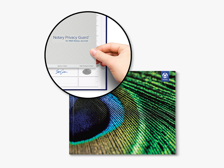 Deluxe Journal - Peacock Feather - Feather, HD Png Download