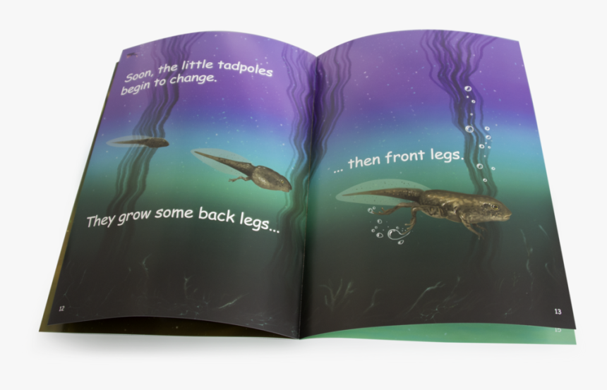 Book Cover, HD Png Download