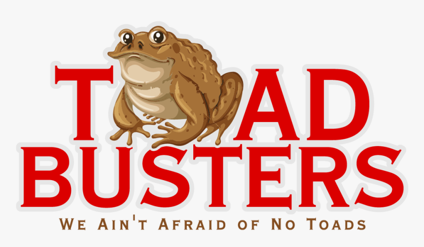 Bufo, HD Png Download