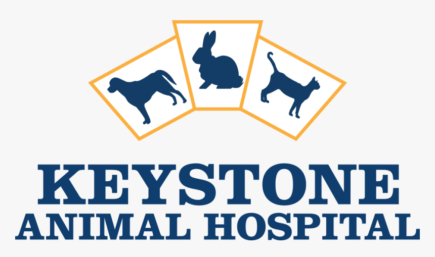 Keystone Animal Hospital - Hoshizaki, HD Png Download