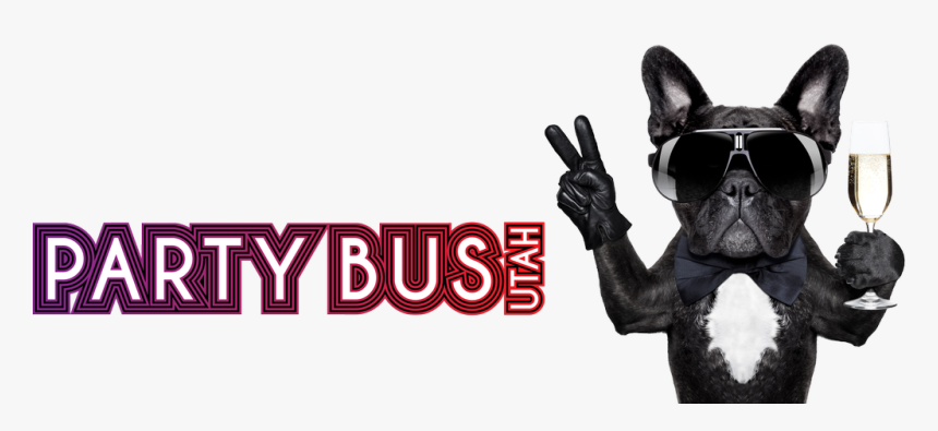Party Bus Utah - Indian Rhinoceros, HD Png Download