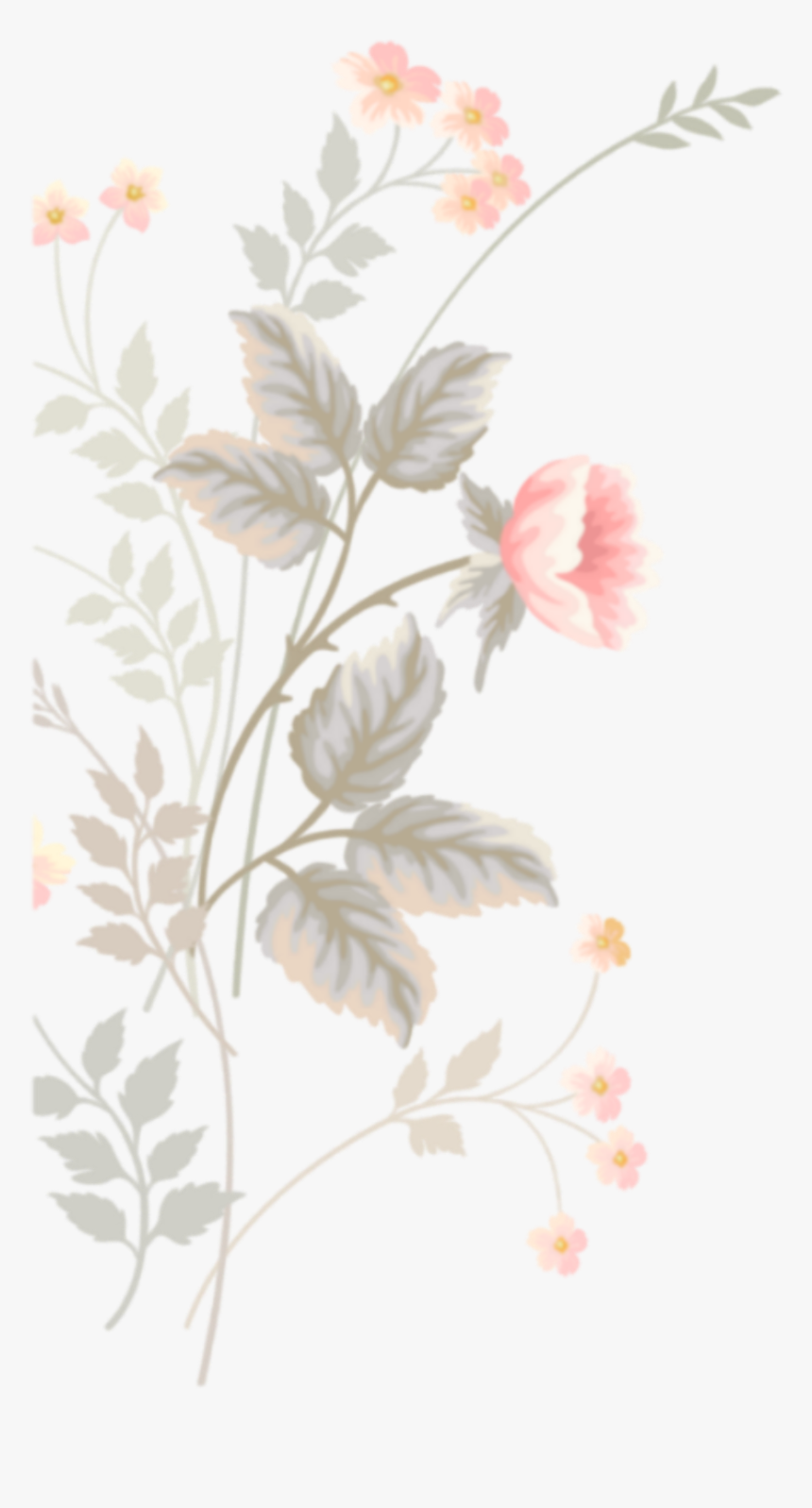 Flower, HD Png Download