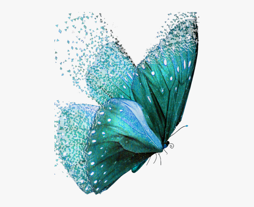 #dispersion #butterflies #teal - Teal Colored Butterflies, HD Png Download