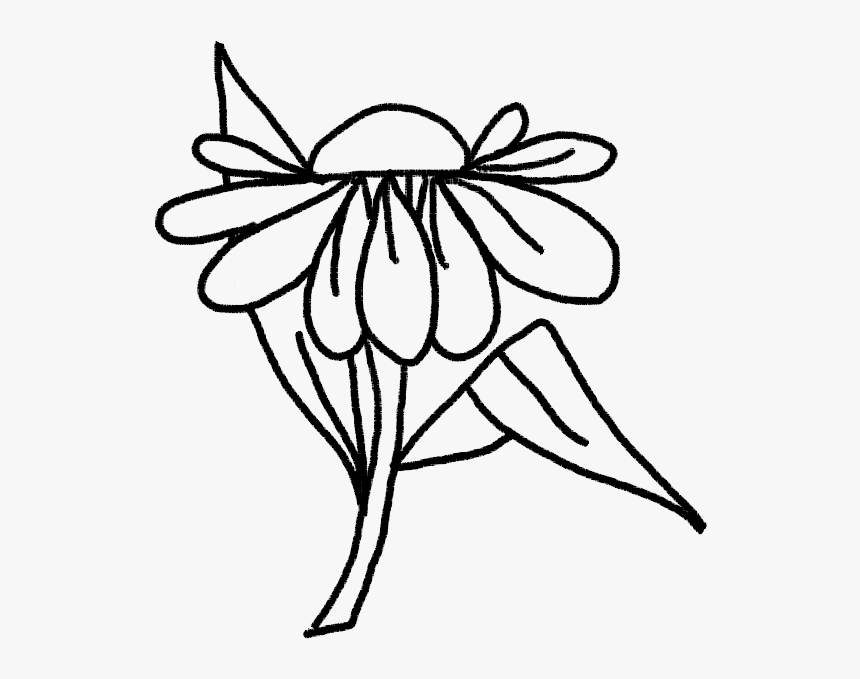 Line Art, HD Png Download