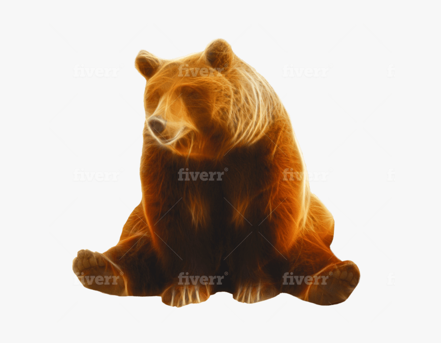 Grizzly Bear, HD Png Download