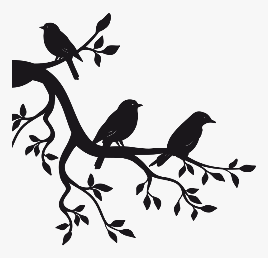 Paper Sticker Branch Bird Wall Decal - Birds On Branch Drawing, HD Png Download