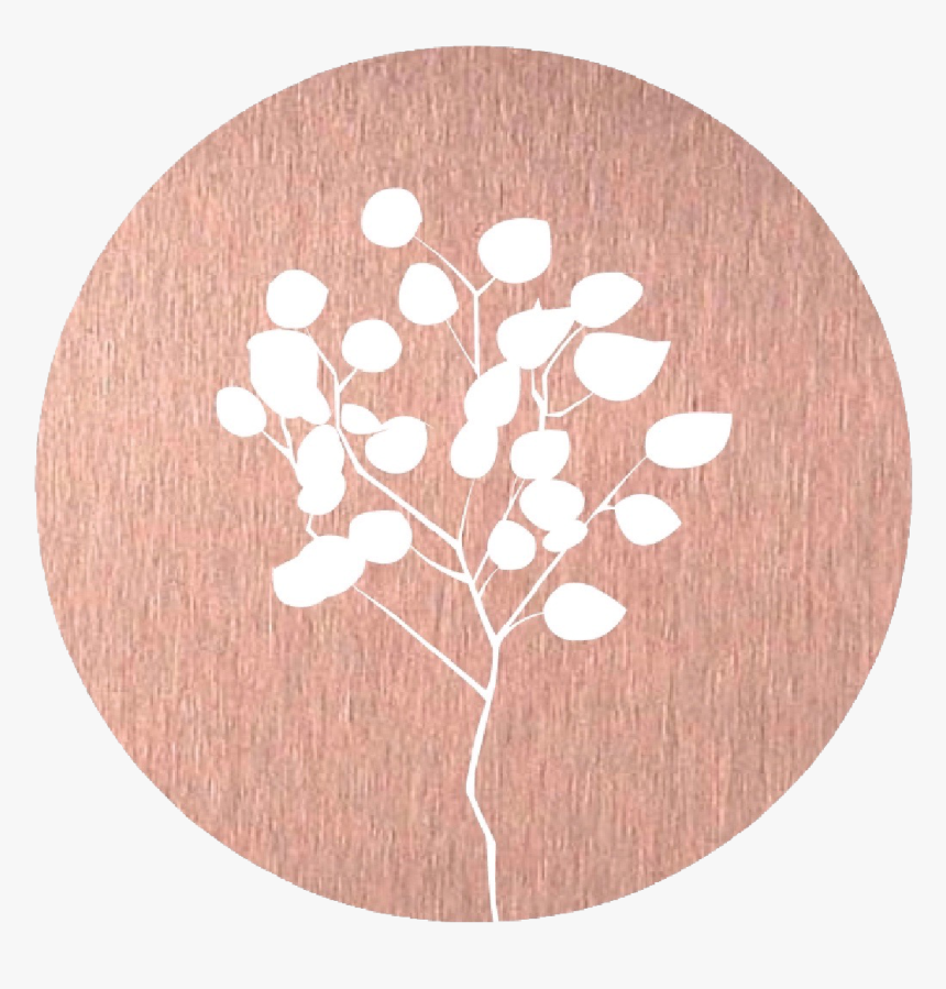 Circle, HD Png Download