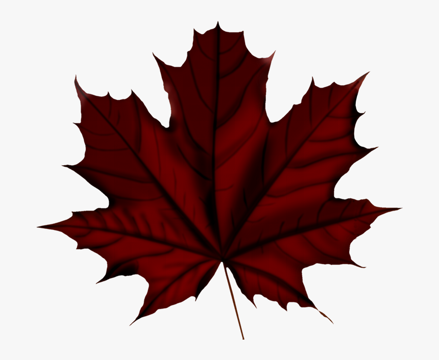 Faℓℓ ‿✿⁀○ Vintage Flowers, Autumn Leaves, Falling - Green Autumn Leaves Png, Transparent Png