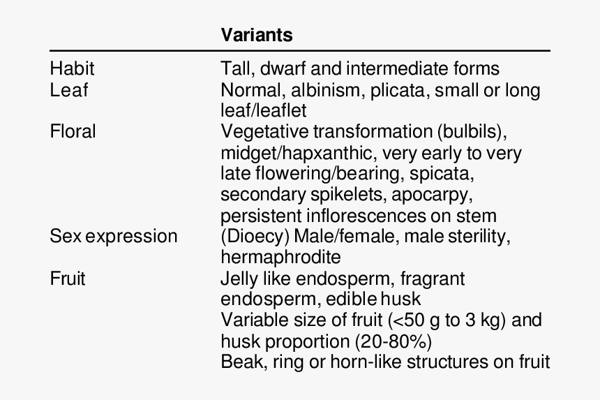 Invasive Lobular Carcinoma Subtypes, HD Png Download