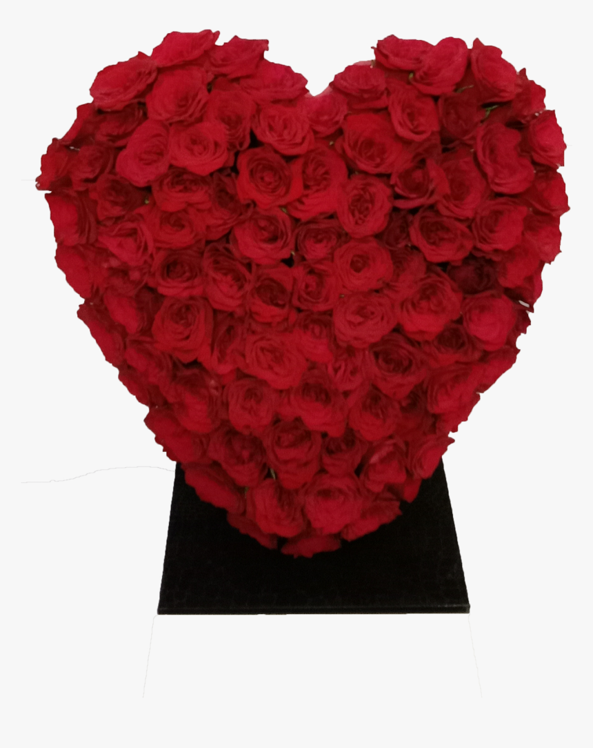 Garden Roses, HD Png Download