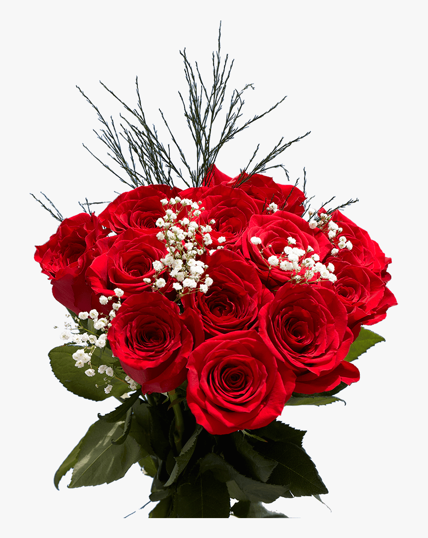 Garden Roses, HD Png Download