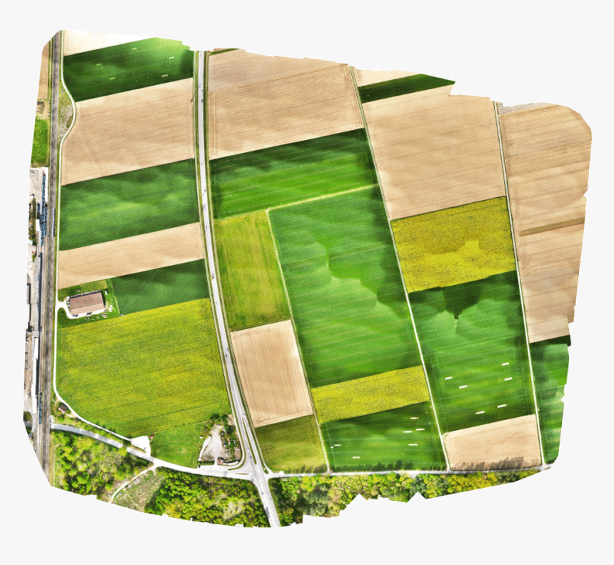 Fixed Wing Coverage Around 40 Percent Less Than Wingtraone - Hardwood, HD Png Download