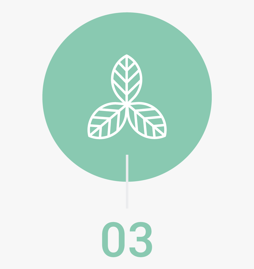 Flightnook Step3 - Emblem, HD Png Download