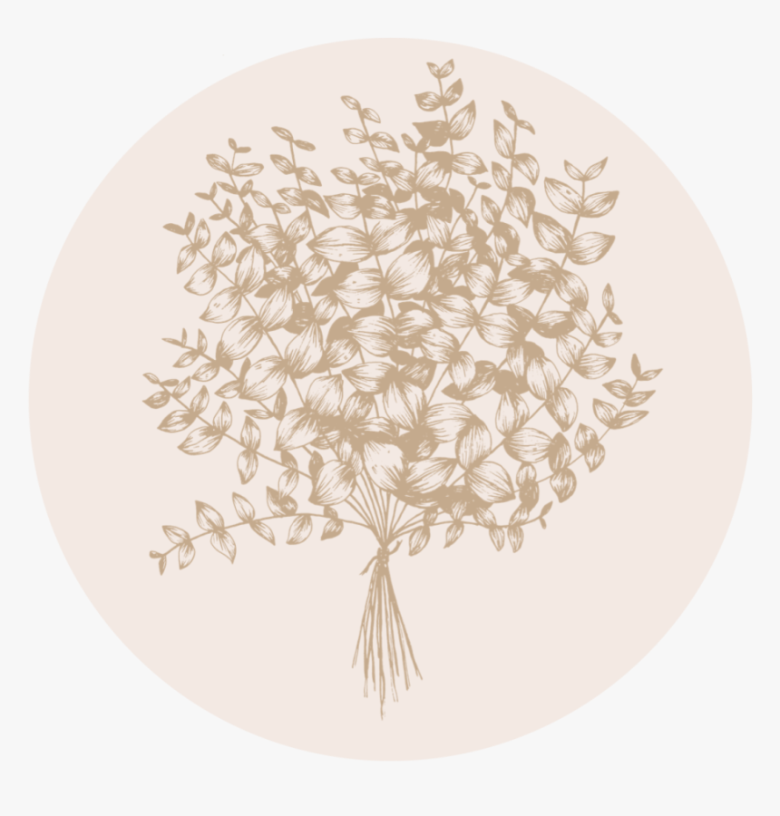 Circle, HD Png Download