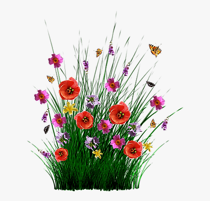 #bokeh - Romans 8 18, HD Png Download