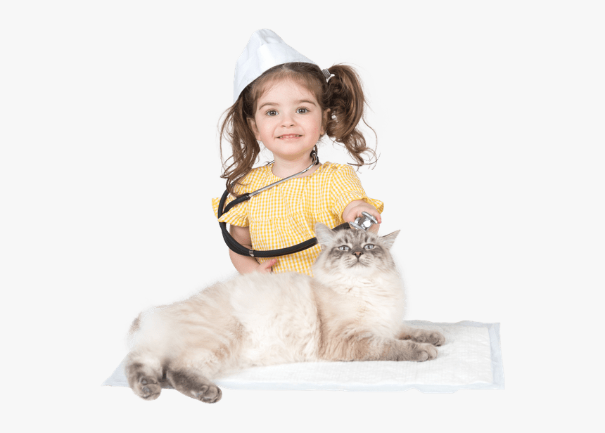 Animals - Cat Yawns, HD Png Download