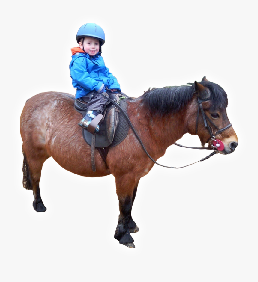Learning With Horses - Boy Riding Horse Png, Transparent Png