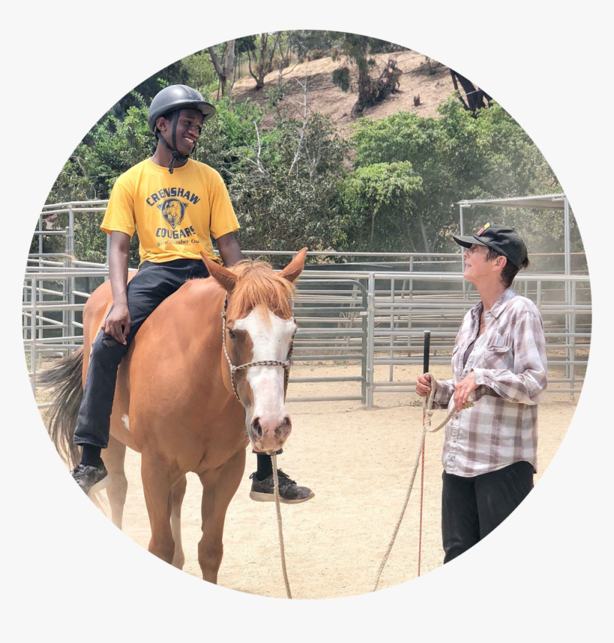 Horse Ride - Sorrel, HD Png Download