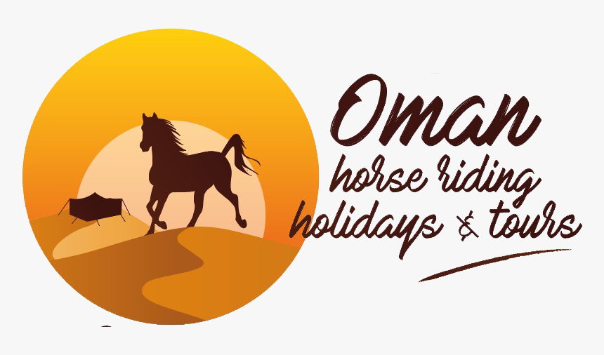 Equestrian Trip In Oman - Stallion, HD Png Download