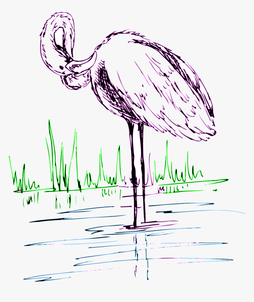 Flamingo, HD Png Download