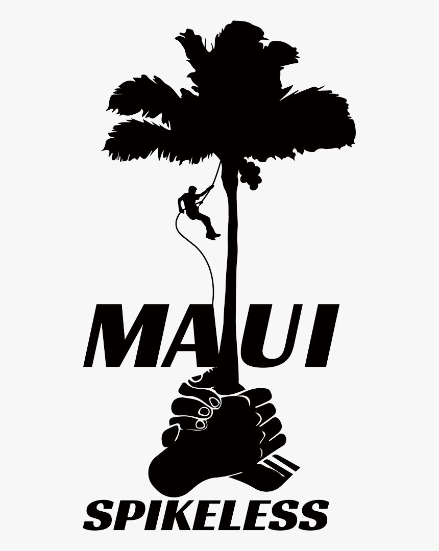 Maui Spikeless Logo Of A Coconut Palm And Maui Palm - Tree And Palm Trimming Silhouette, HD Png Download
