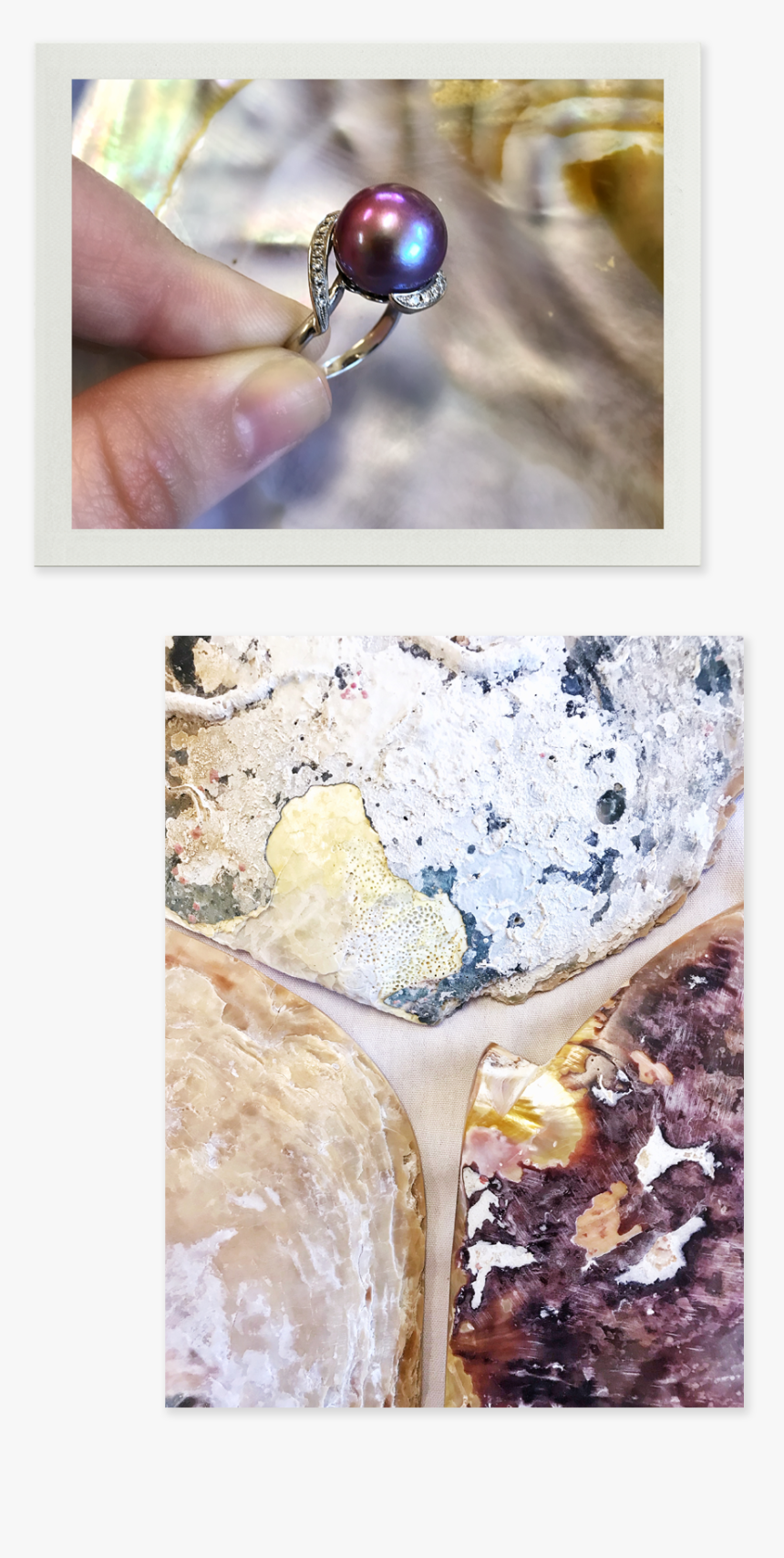 Cobbler, HD Png Download
