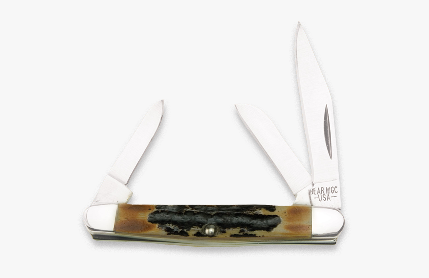 Bear, HD Png Download