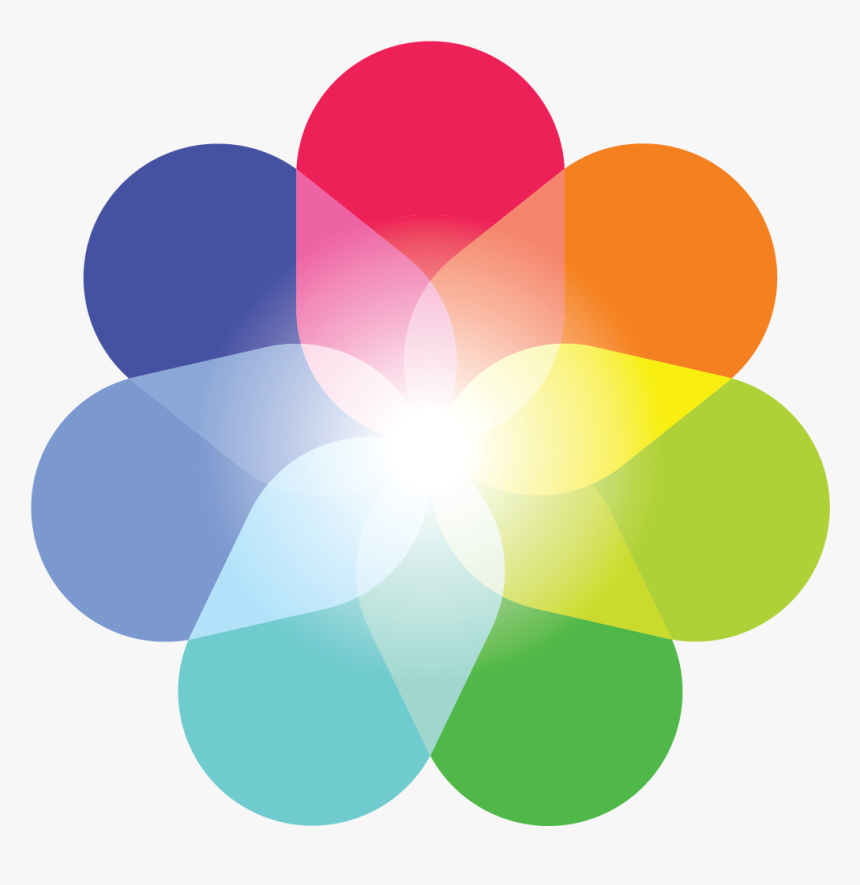 Circle, HD Png Download