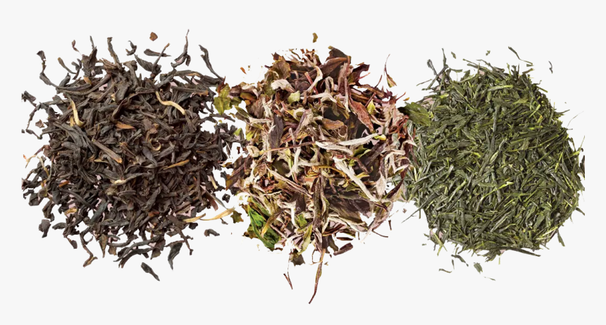 Black Tea, HD Png Download