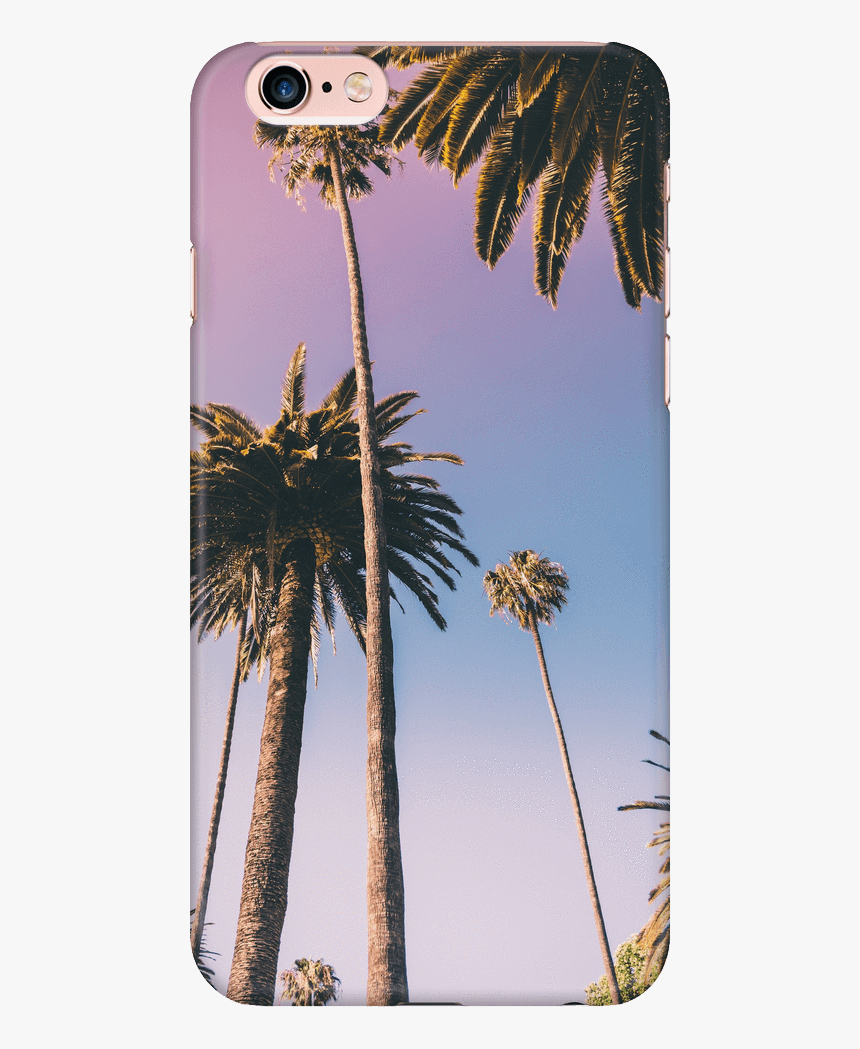Palm Tree Case - Beverly Hills Palm Trees, HD Png Download