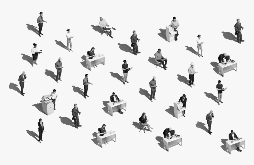 Flock, HD Png Download