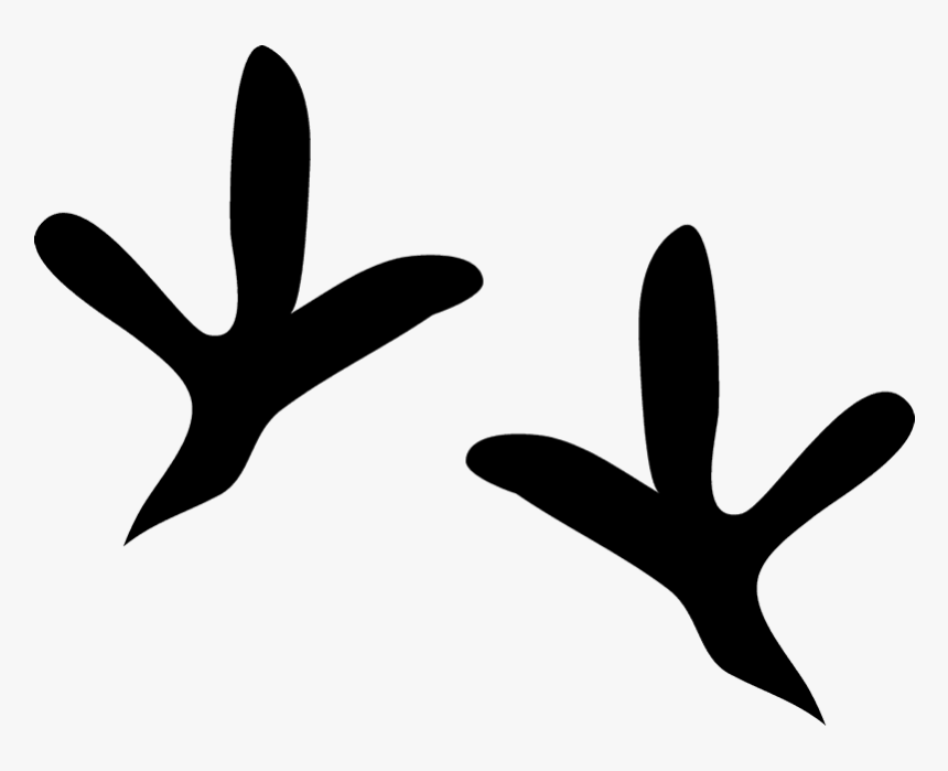 Pigeon Tracks, HD Png Download