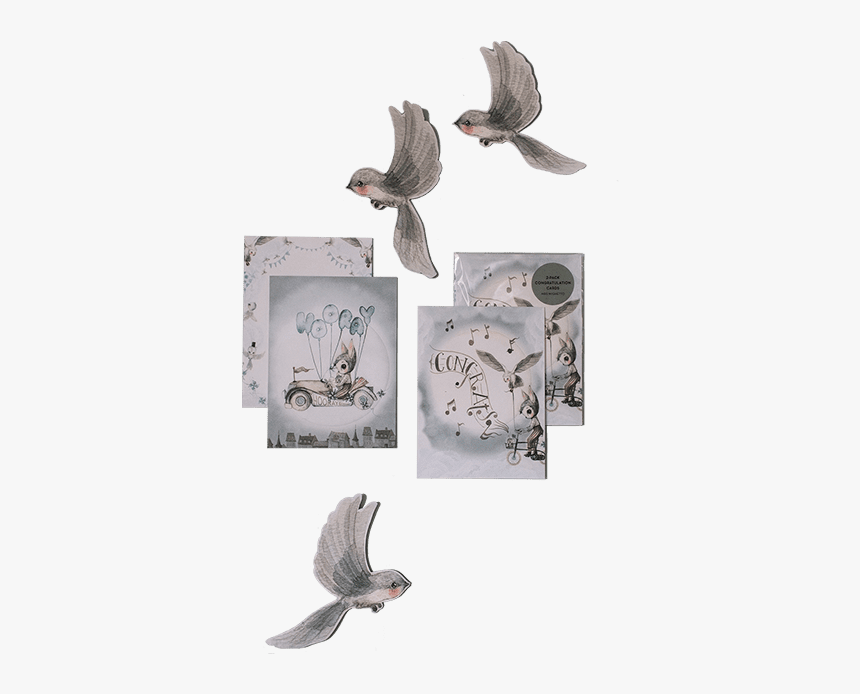 Stock Dove, HD Png Download