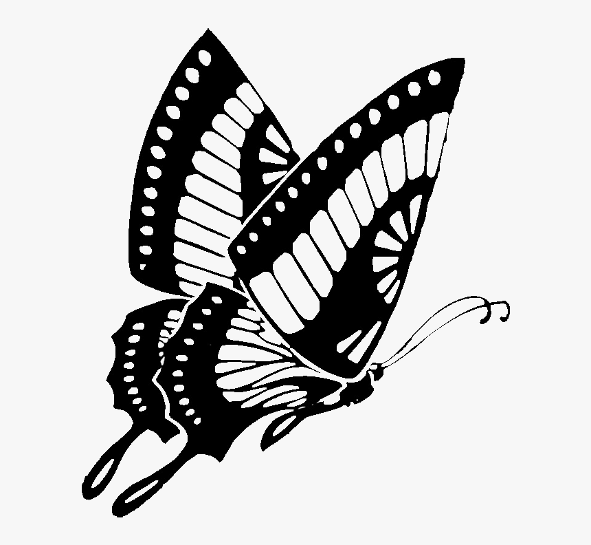 Transparent Butterfly Clipart - Butterfly Clip Art Black And White, HD Png Download